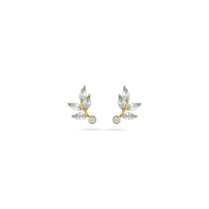 Marquise Leaf Gold Earrings