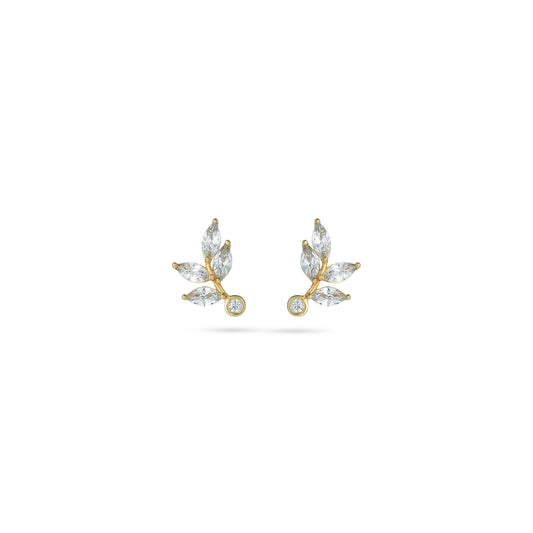 Marquise Leaf Gold Earrings